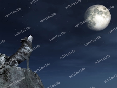 Wolf mit Vollmond