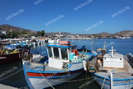 Fischerboote in Elounda, Kreta