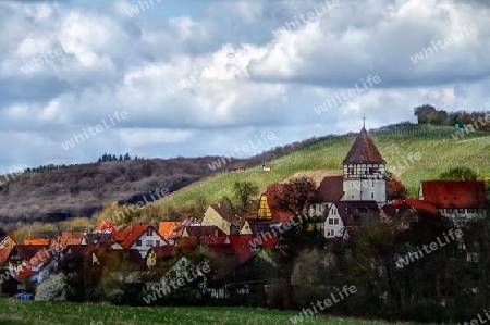 Idyllisches Dorf am Weinberg