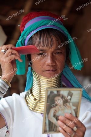 Eine Traditionell gekleidete Langhals Frau eines Paudang Stammes aus Burma lebt in einem Dorf noerdlich von Chiang Mai in Nord Thailand.