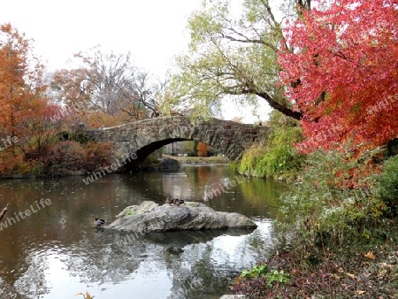 Central Park im Herbst