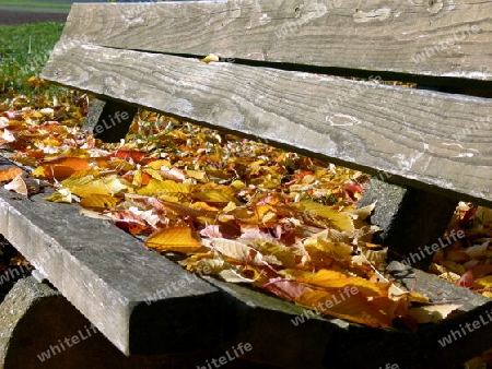 Sitzbank aus Holzbrettern voller Herbstlaub