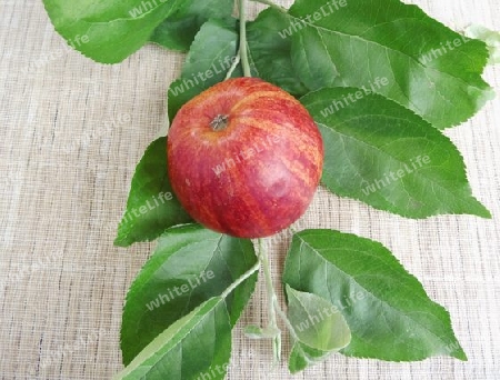 Apfel-rot