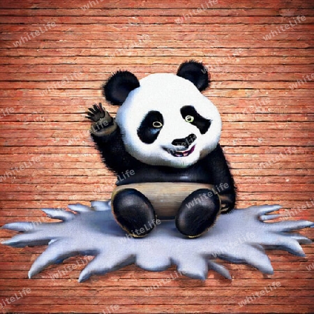 Pandabär