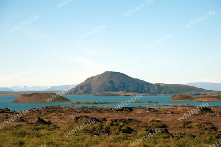 Der Nordosten Islands, Blick auf das Nord-Ost-Ufer des Myvatn-See bei Reykjahl?? 