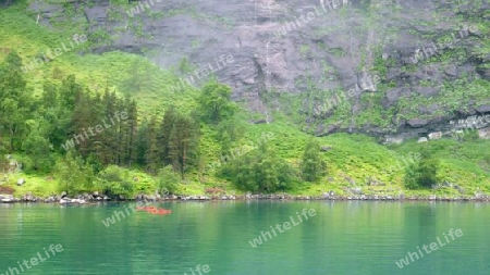 Grüne Fjordlandschaft im Sommer