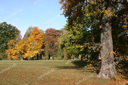 Herbststimmung im Neuen Garten Potsdams