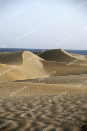 the Sanddunes at the Playa des Ingles in town of Maspalomas on the Canary Island of Spain in the Atlantic ocean.