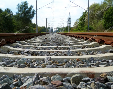 Railroad rails from the dachshund perspective - Eisenbahnschienen aus der Dackelperspektive