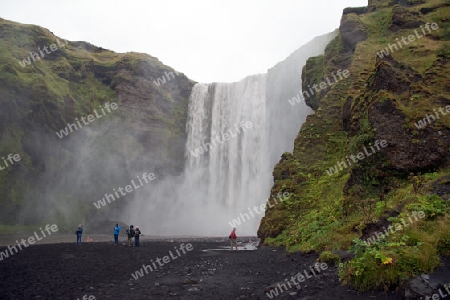 Der S?den Islands, am  malerischen Wasserfall Skogafoss, der hier in einer Breite von 25 Metern bis zu 60 Meter tief ?ber die Flu?kante des Sk?g? herabst?rzt