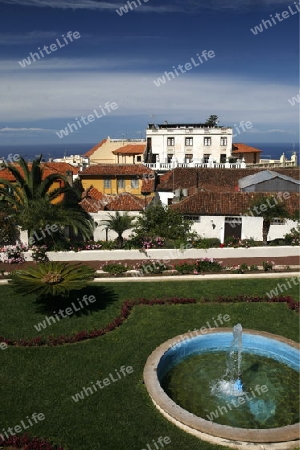 The Victoria Garten in the Town of La Orotava on the Island of Tenerife on the Islands of Canary Islands of Spain in the Atlantic.  