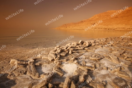 The coast with natural salt of the death sea neat the Village of Mazraa in Jordan in the middle east.