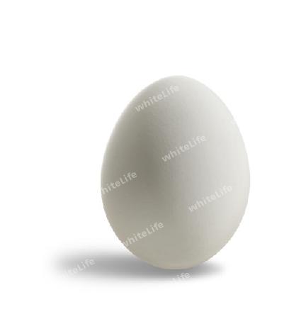 studio photography of a simple clean white egg isolated on white, with shadow and clipping path