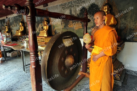 Ein Moench in der Tempel Anlage des Wat Phra That Doi Suthep bei Chiang Mai in der Provinz Chiang Mai im Norden von Thailand in Suedostasien.