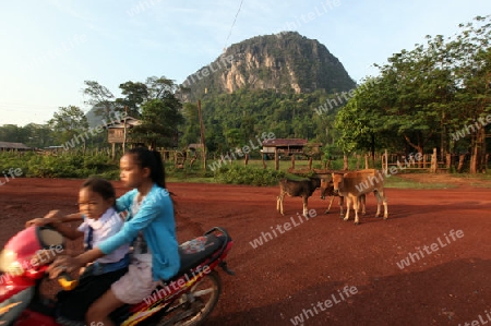 Die Landstrasse 12 beim Dorf Mahaxai Mai von Tham Pa Fa unweit der Stadt Tha Khaek in zentral Laos an der Grenze zu Thailand in Suedostasien.