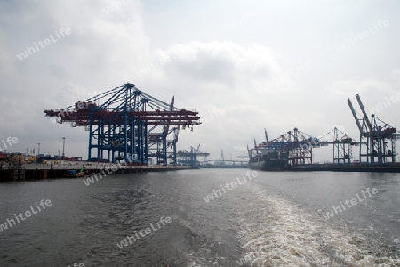 Hamburger Hafen 2012 ? Hafenpanorama vom Beladen eines Containerschiffes