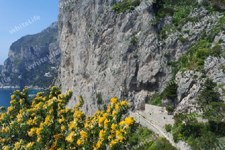 Steilklippen auf Capri