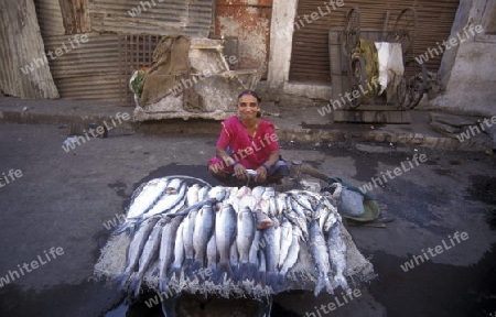 a women sales fish at the market in the city of Surat in the Province of Gujarat in India.