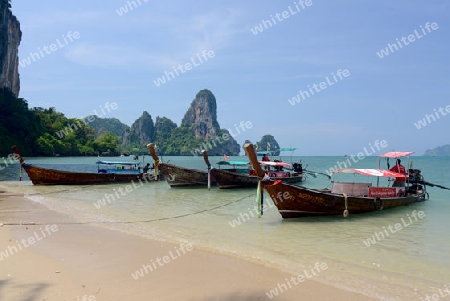 The Hat Tom Sai Beach at Railay near Ao Nang outside of the City of Krabi on the Andaman Sea in the south of Thailand. 