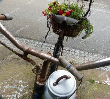 Altes rostiges Fahrrad mit Milchkanne  2