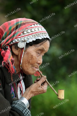 Traditionell gekleidete Frau von einem Stamm der Akha beim Dorf Fang noerdlich von Chiang Mai im Norden von Thailand.