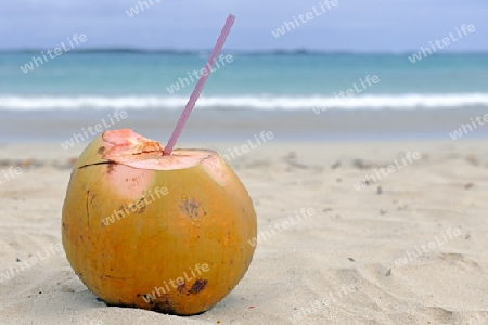 Kokosnuss mit Trinkhalm steht an einem tropischen Strand