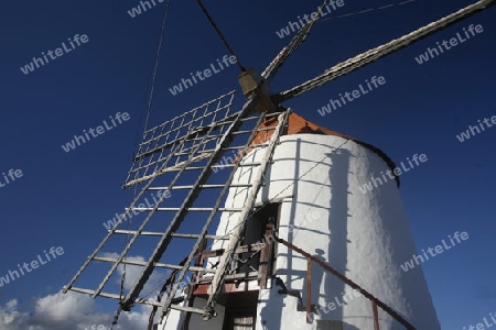 traditional windmill on the Island of Lanzarote on the Canary Islands of Spain in the Atlantic Ocean. on the Island of Lanzarote on the Canary Islands of Spain in the Atlantic Ocean.