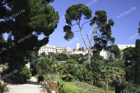 Cagliari, Botanischer Garten