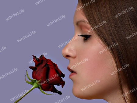 smell the rose