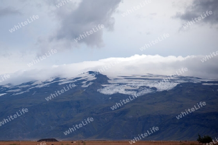 Der S?den Islands, Weideland mit dem ber?hmten Vulkan Eyjafjallaj?kull im Hintergrund 