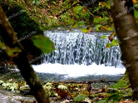 Rauschender Wasserfall von einem Gebirgsbach