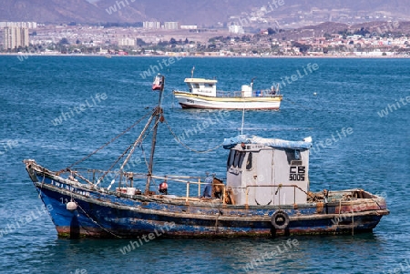 fischerboot vor Coquimbo