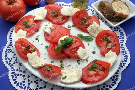 Tomaten mit Morzarella