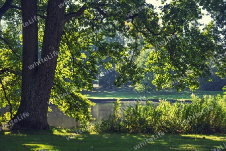 Ruhe und Entspannung finden im Godewind Park mitten in Travemünde fernab vom Tourismus
