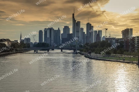  Frankfurt im Sonnen