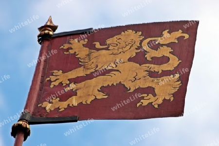 Flag with Lion - Fahne mit L?we
