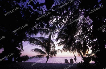
Der Strand im Abendlicht auf der Insel Helengeli im Northmale  Atoll auf den Inseln der Malediven im Indischen Ozean.   (URS FLUEELER)