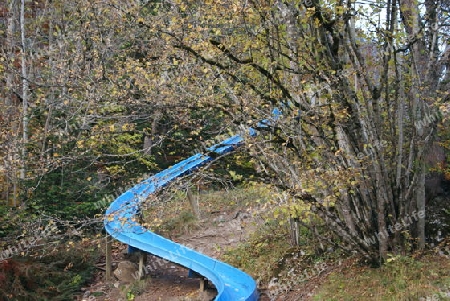 Rutschbahn in Wald