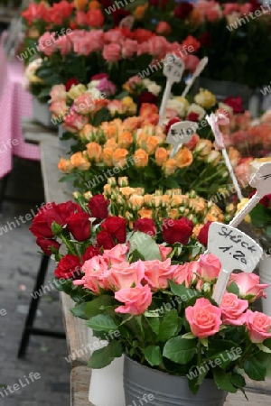 Rosen am Marktstand