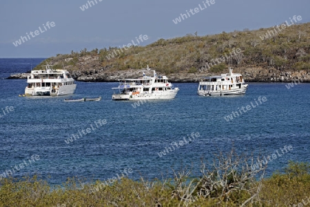 Kreuzfahrtschiffe der Insel Santa Fe, Galapagos, Unesco Welterbe, Ecuador, Suedamerika, Pazifik