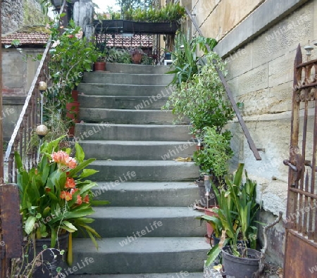 Steile Treppe mit rostigem Tor.