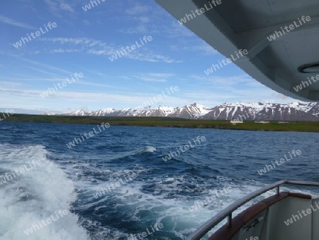 Bootfahrten Island