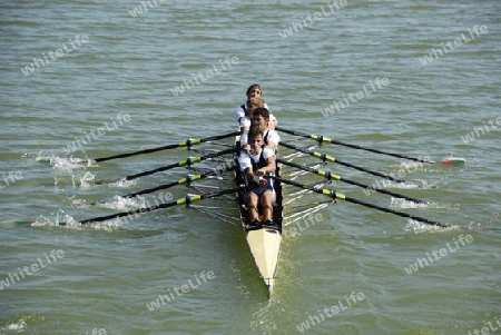 Rowing competition for man