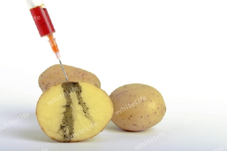 Spritze in Kartoffel, Symbolbild Genkartoffel, Injektionsspuren in der Kartoffel,  genmanipulierte Lebensmittel