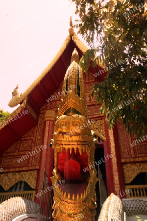 Der Wat Phra Kaew in der Altstadt von Chiang Rai in der Provinz chiang Rai im Norden von Thailand in Suedostasien.