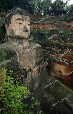 the big Buddha near the city of Leshan in the provinz Sichuan in China in eastasia.