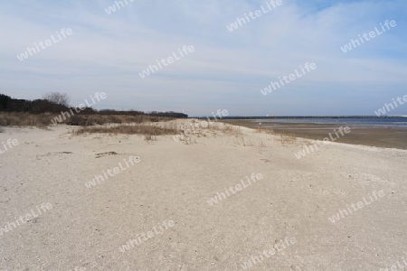 Stranddüne an der Ostsee