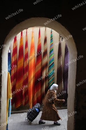 a shop in the Marketroad in the Medina of old City in the historical Town of Fes in Morocco in north Africa.