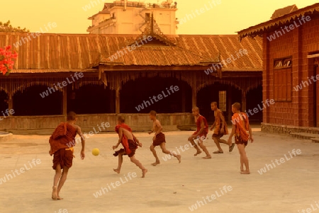 Young Monks Play Soccer in a Pagoda in the town of Nyaungshwe at the Inle Lake in the Shan State in the east of Myanmar in Southeastasia.