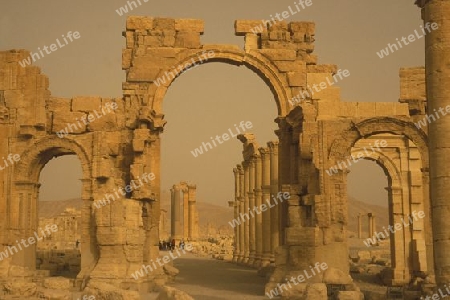 the Roman Ruins of Palmyra in Palmyra in the east of Syria.